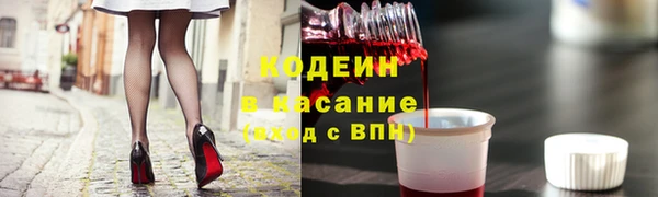 прущие грибы Мегион