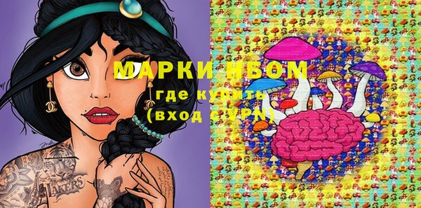 прущие грибы Мегион