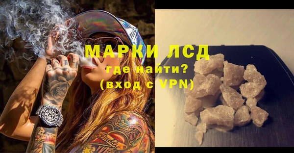 прущие грибы Мегион