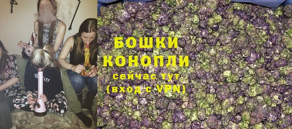 прущие грибы Мегион