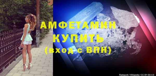 прущие грибы Мегион
