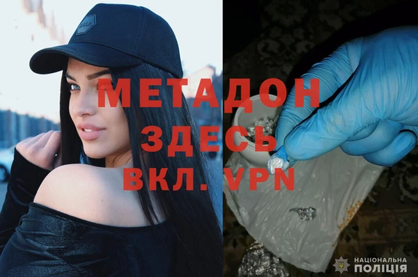 прущие грибы Мегион