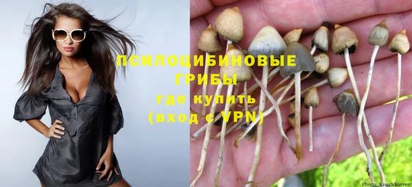 скорость Медногорск