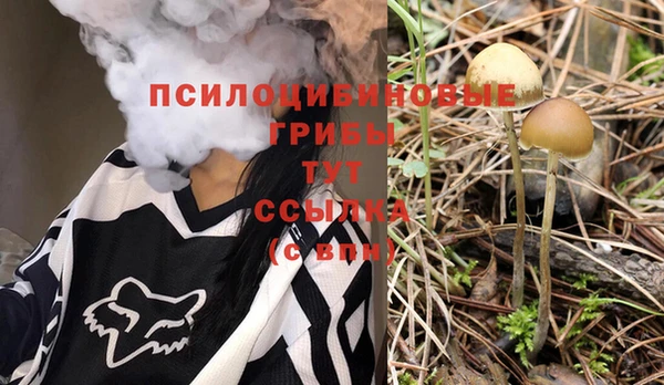 скорость Медногорск