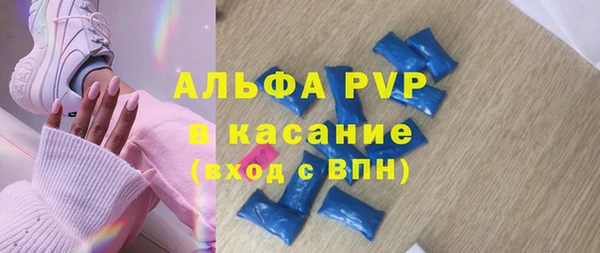 прущие грибы Мегион