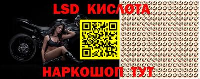 ALPHA PVP Гай