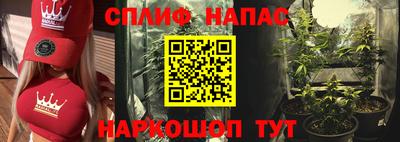 ALPHA PVP Гай