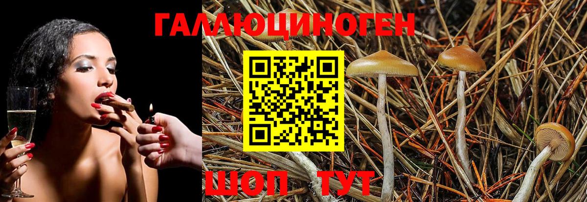 Галлюциногенные грибы Cubensis  Миасс 