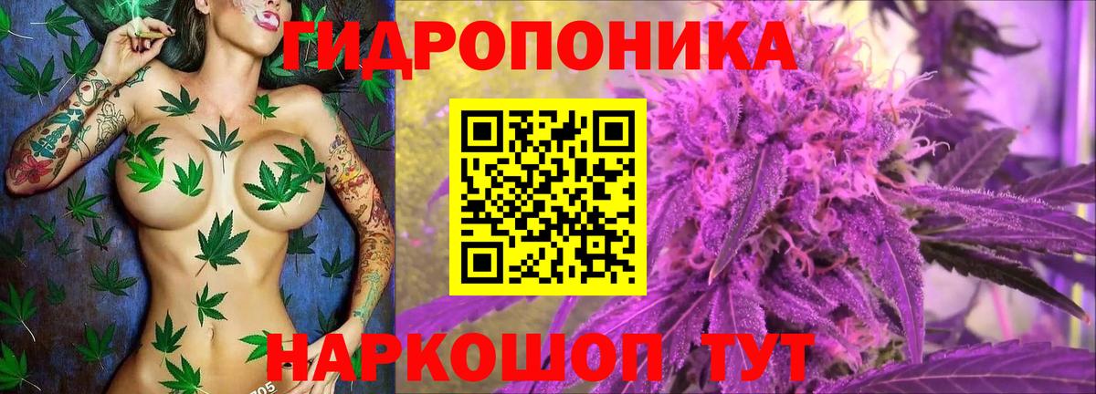 Миасс  Конопля ГИДРОПОН  Бошки марихуана индика  Вход с VPN  МАРИХУАНА LSD WEED  Канабис марихуана 